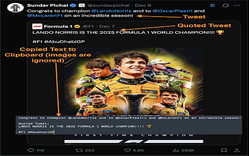 Tweet Copier - Export Twitter / X Tweets to PDF screenshot
