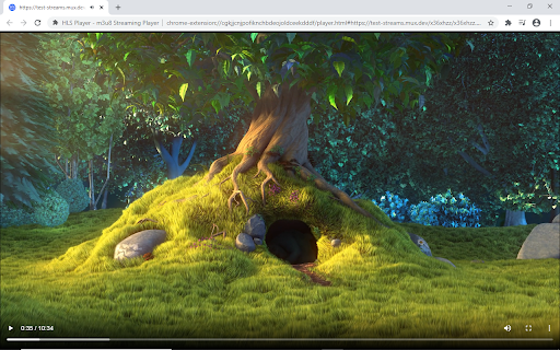 HLS Player - m3u8 Streaming Player screenshot
