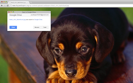 Save to Google Drive screenshot